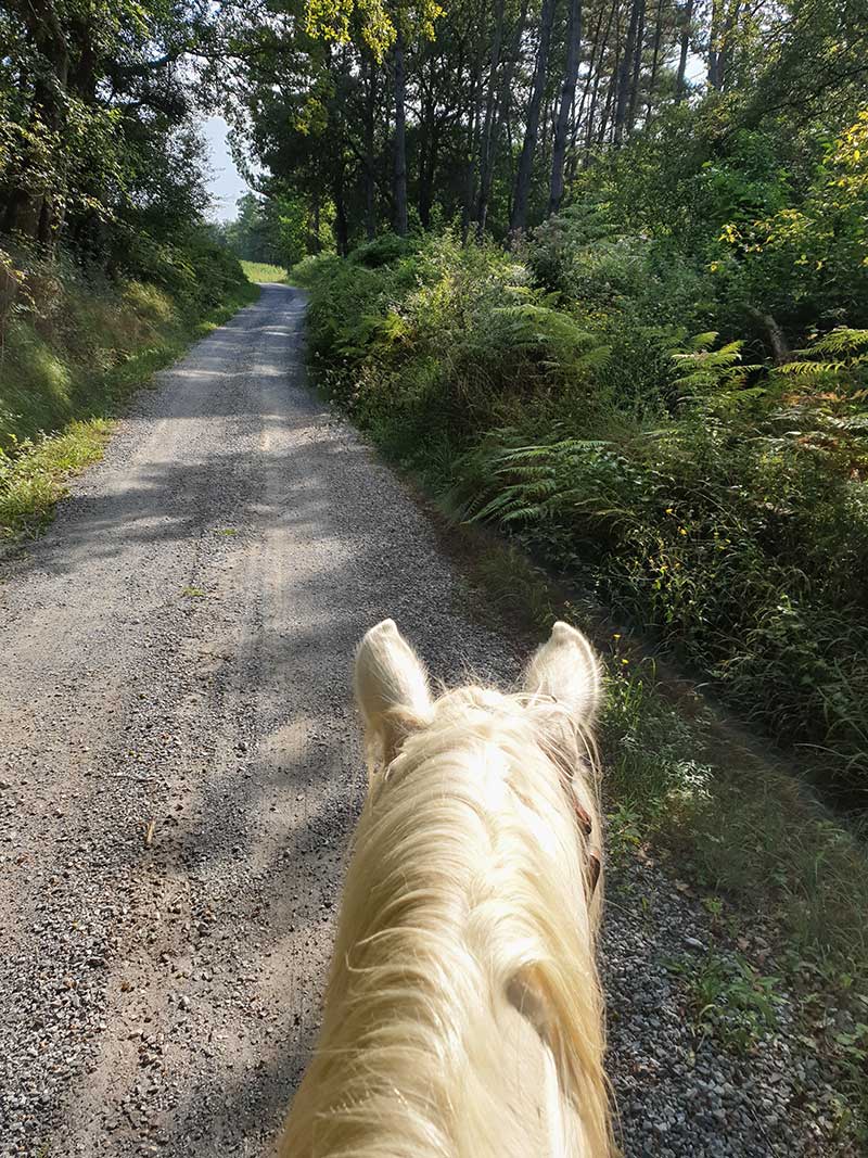 Balade à cheval