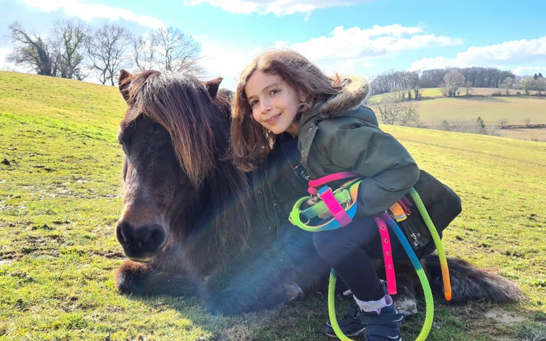 Atelier Shetlands et Ânes pour les 7 à 11 ans
