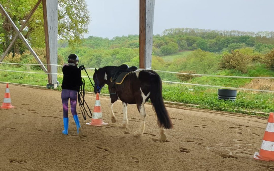Poney en 1/2 Pension