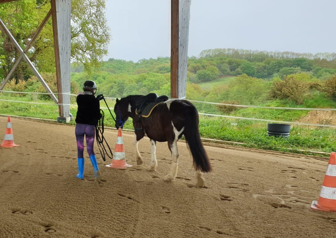 Poney en 1/2 Pension